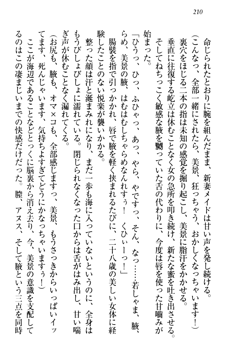 [Aohashi Yutaka, Arisue Tsukasa] Toshiue Maid no Shinkon Nikki 219