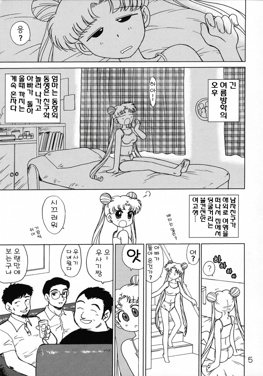 (C66) [BLACK DOG (Kuroinu Juu)] BURNING DOWN THE HOUSE (Bishoujo Senshi Sailor Moon) [Korean] 2