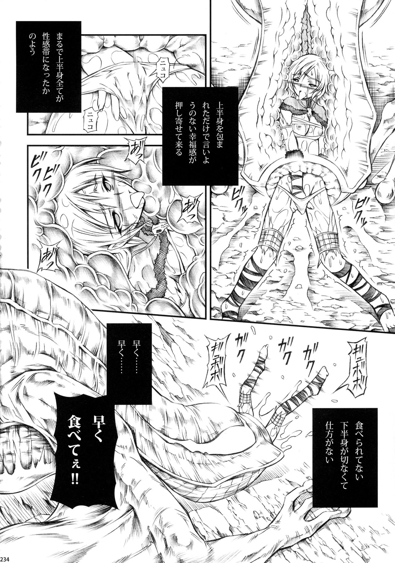 (C90) [Yokohama Junky (Makari Tohru)] Solo Hunter-tachi no Seitai (Monster Hunter) 233