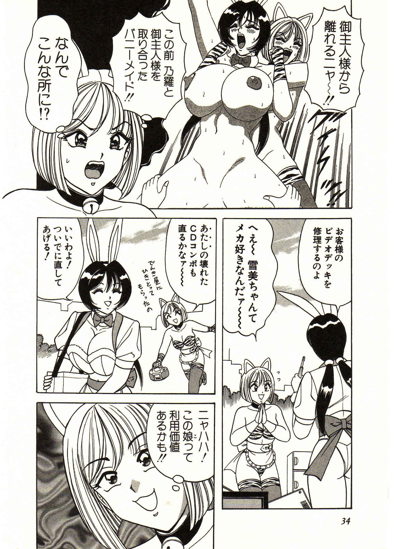 [Monota Rinu] Itoshi no Bunny Maid 33