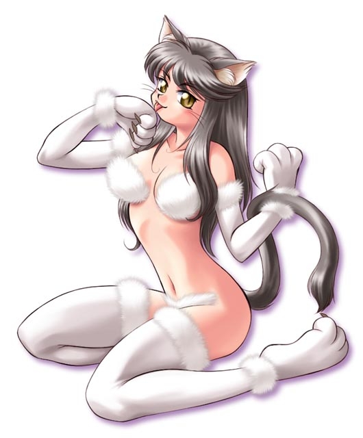 Random Catgirls 2 155