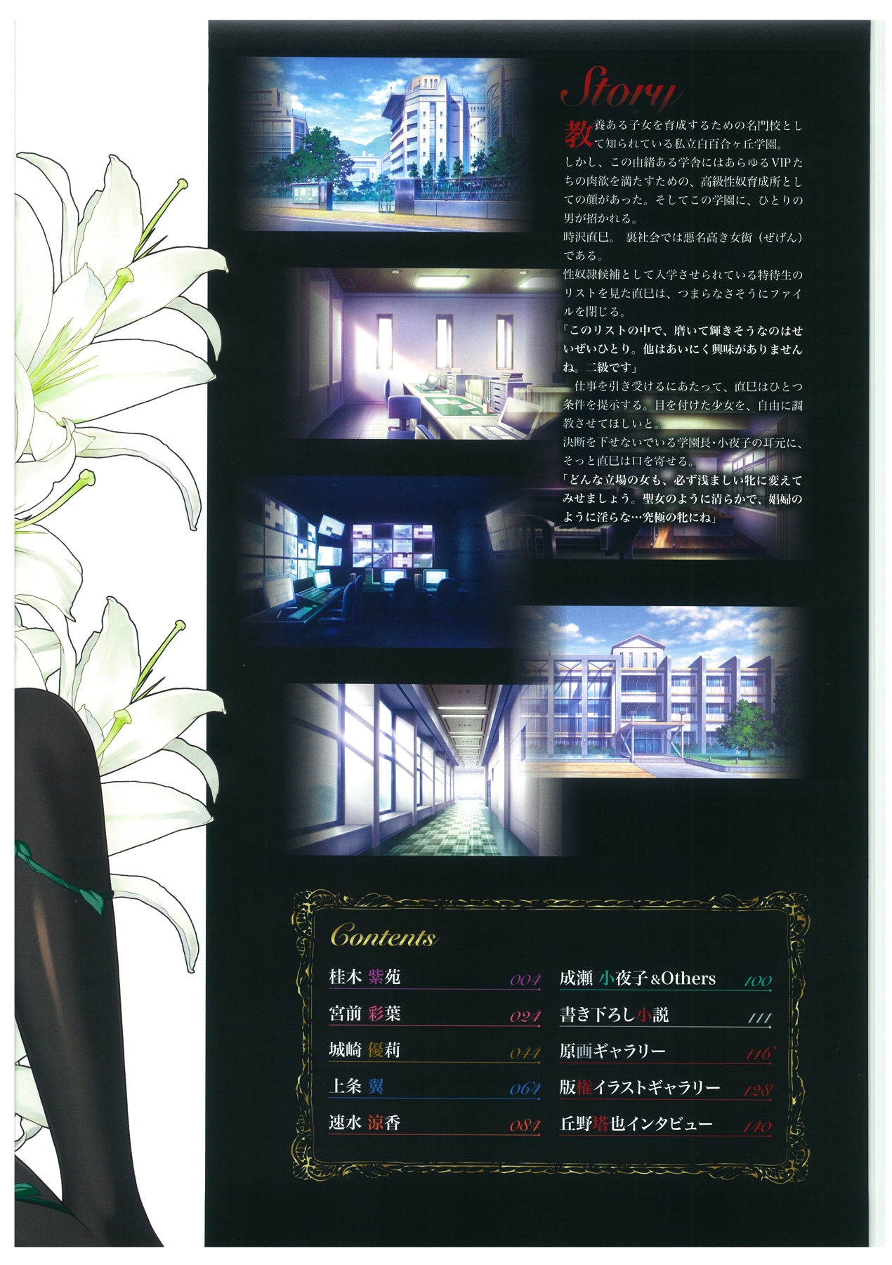 Seishojyo Visual Complete Book 4