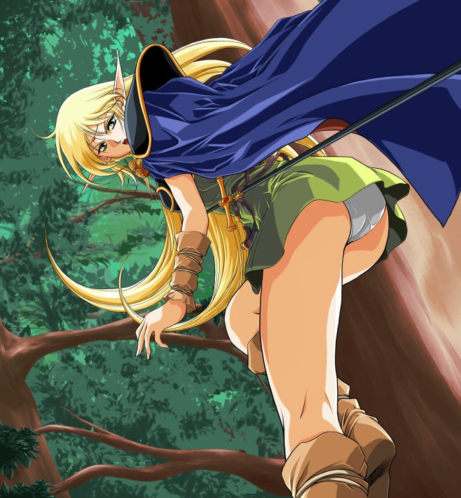 [Type-RSR (rance)] Jutou no Are (Record of Lodoss War) 1