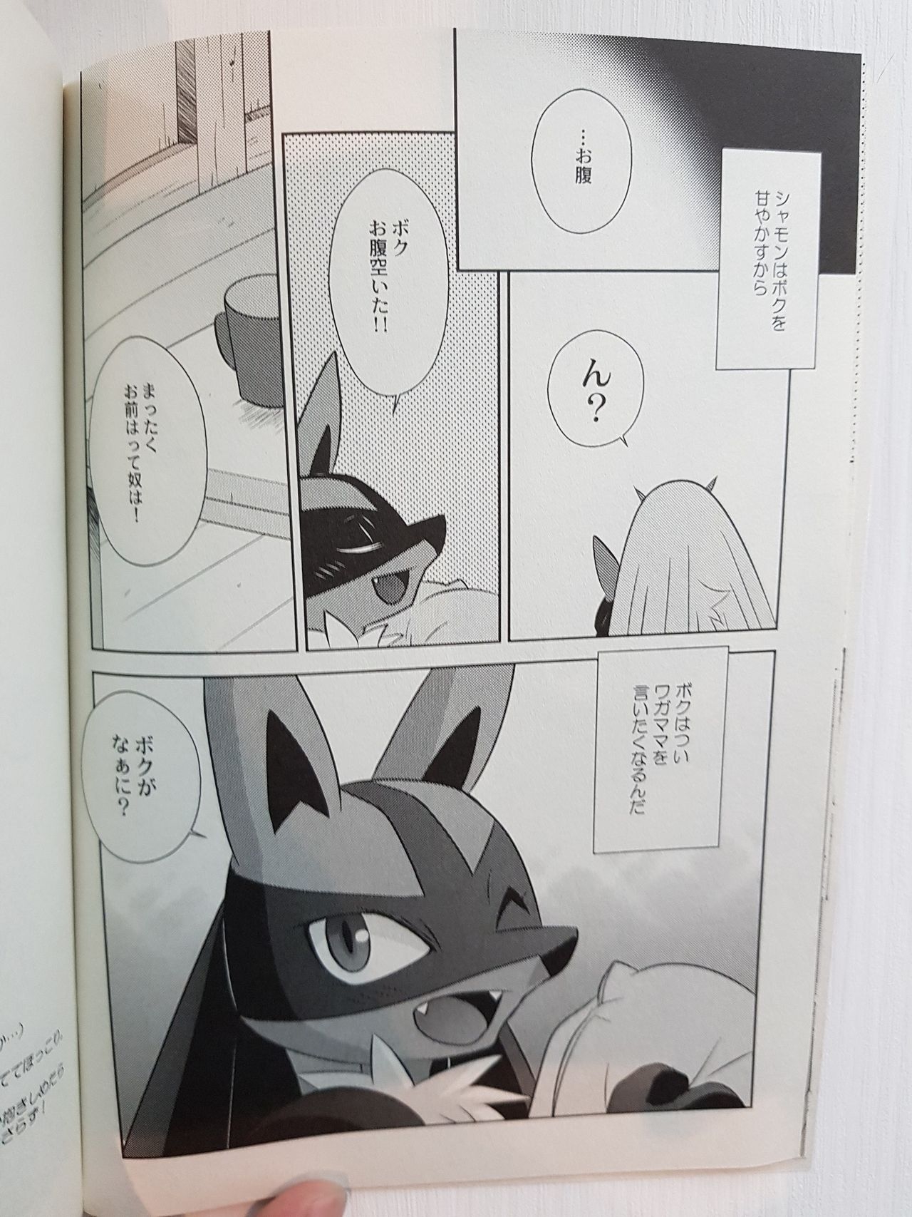 (C85) [DARK WATER (Tatsuse)] Kakkoii Kimi To Wagamama Na Boku (Pokémon) 12