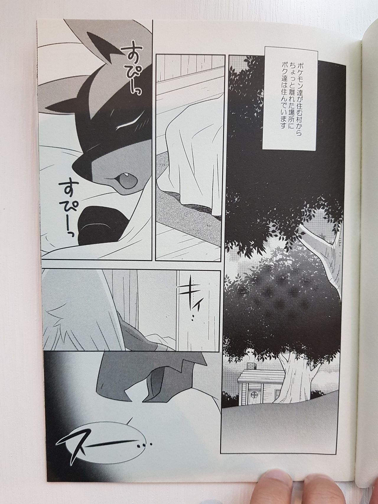 (C85) [DARK WATER (Tatsuse)] Kakkoii Kimi To Wagamama Na Boku (Pokémon) 1