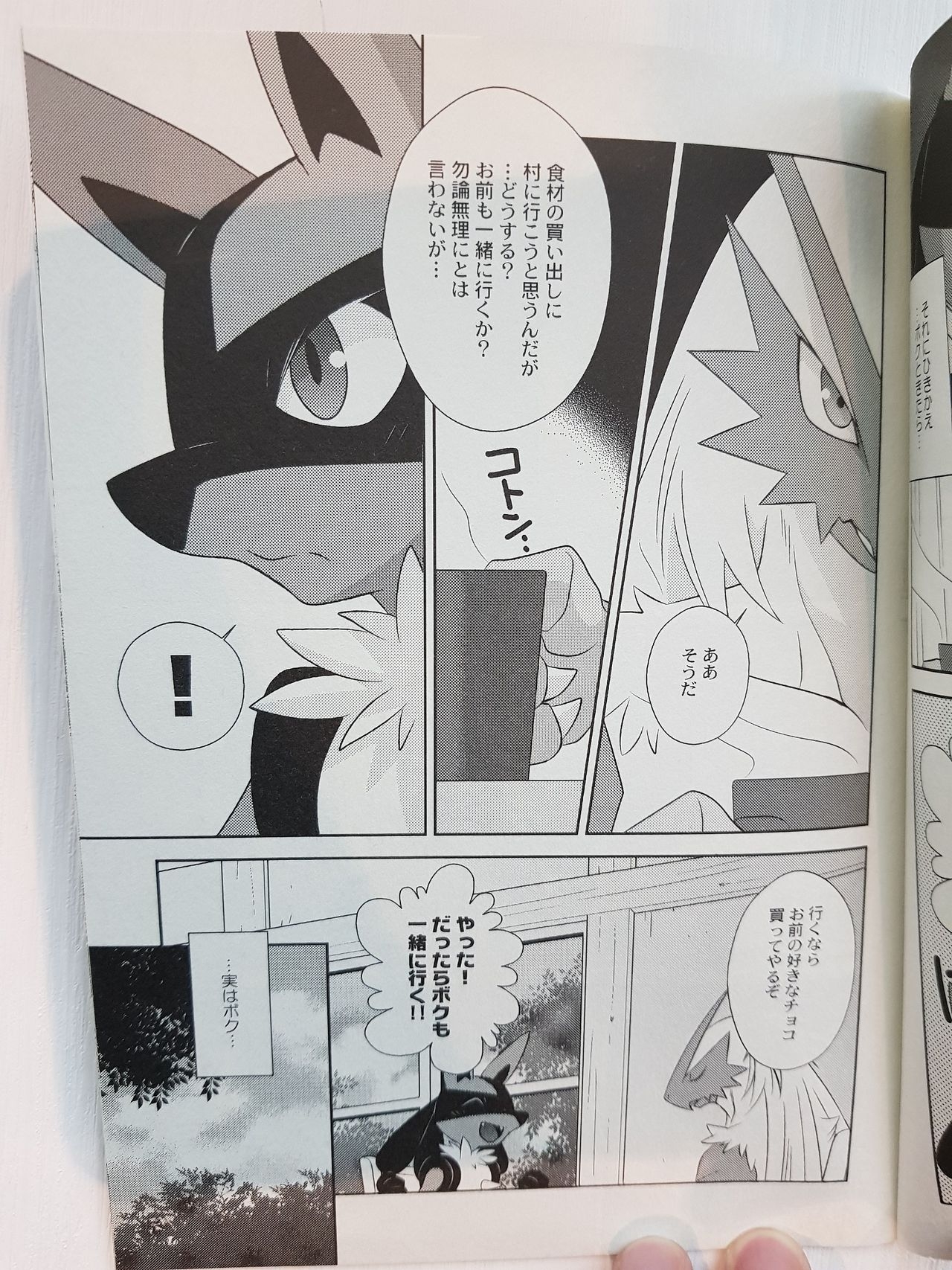 (C85) [DARK WATER (Tatsuse)] Kakkoii Kimi To Wagamama Na Boku (Pokémon) 5