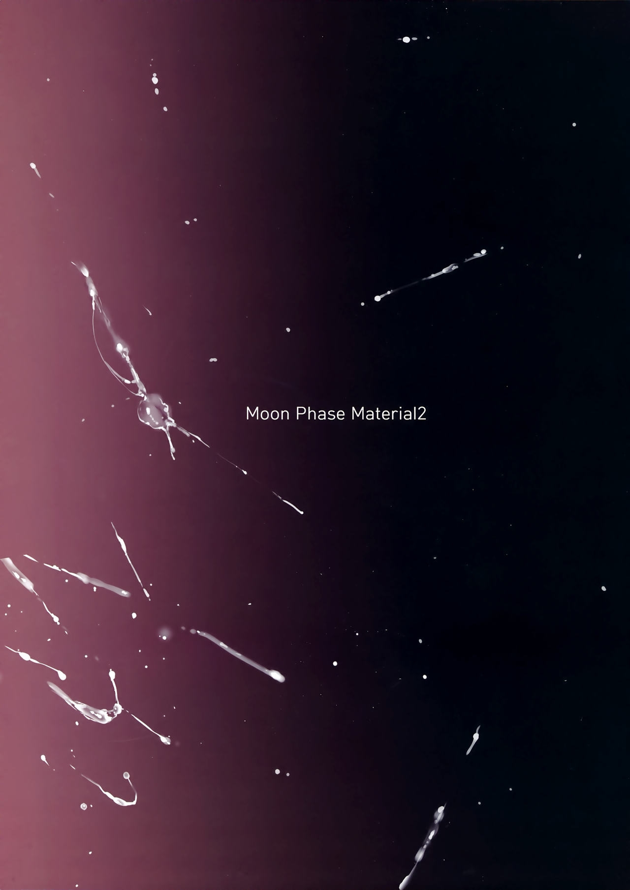 (C92) [MoonPhase (Yuran)] Moon Phase Material 2 (Fate/Grand Order) [Korean] 1
