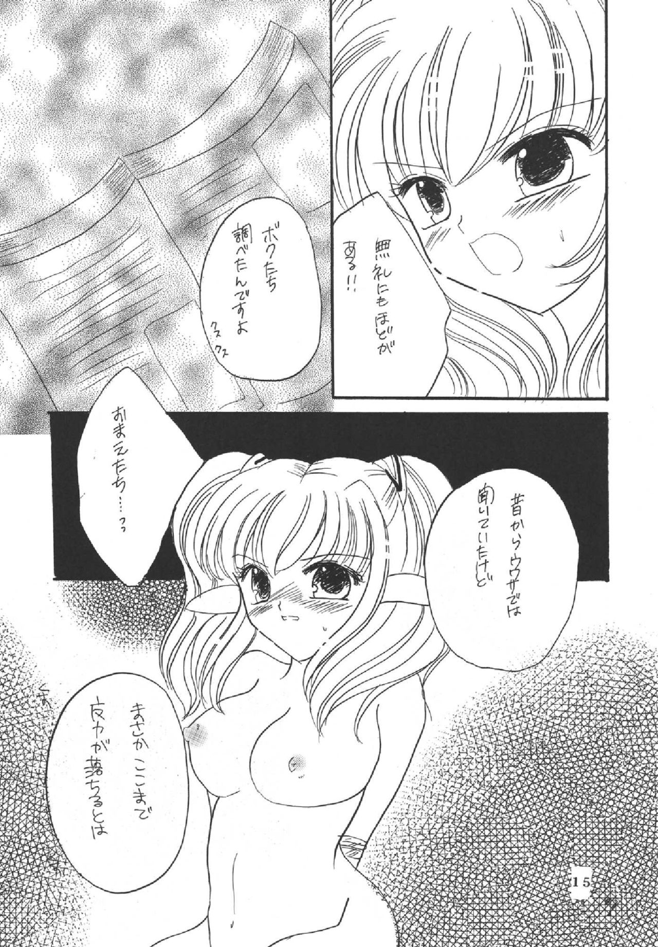 (C69) [Mifuyu (Mitaka Rima, Karin)] Melon pie+1 (Final Fantasy XI) 14
