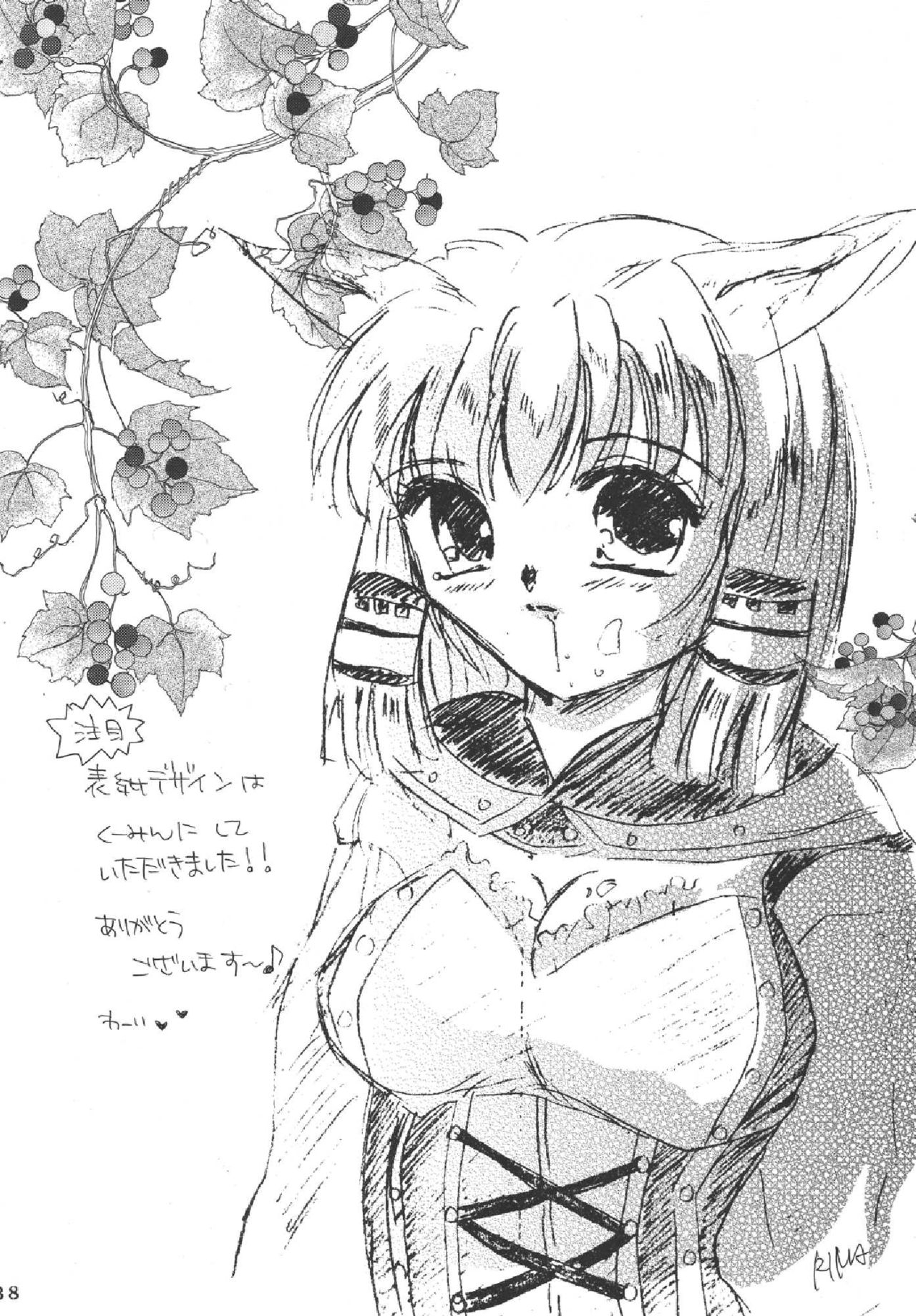 (C69) [Mifuyu (Mitaka Rima, Karin)] Melon pie+1 (Final Fantasy XI) 35