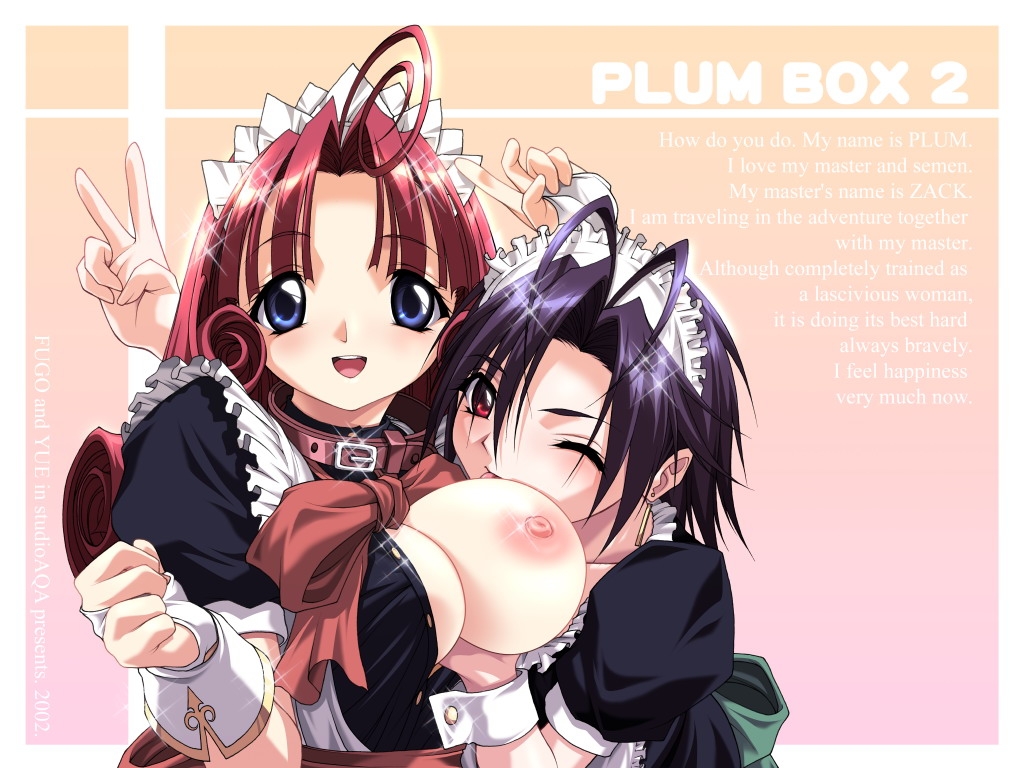[Studio AQA] Plum Box 2 45