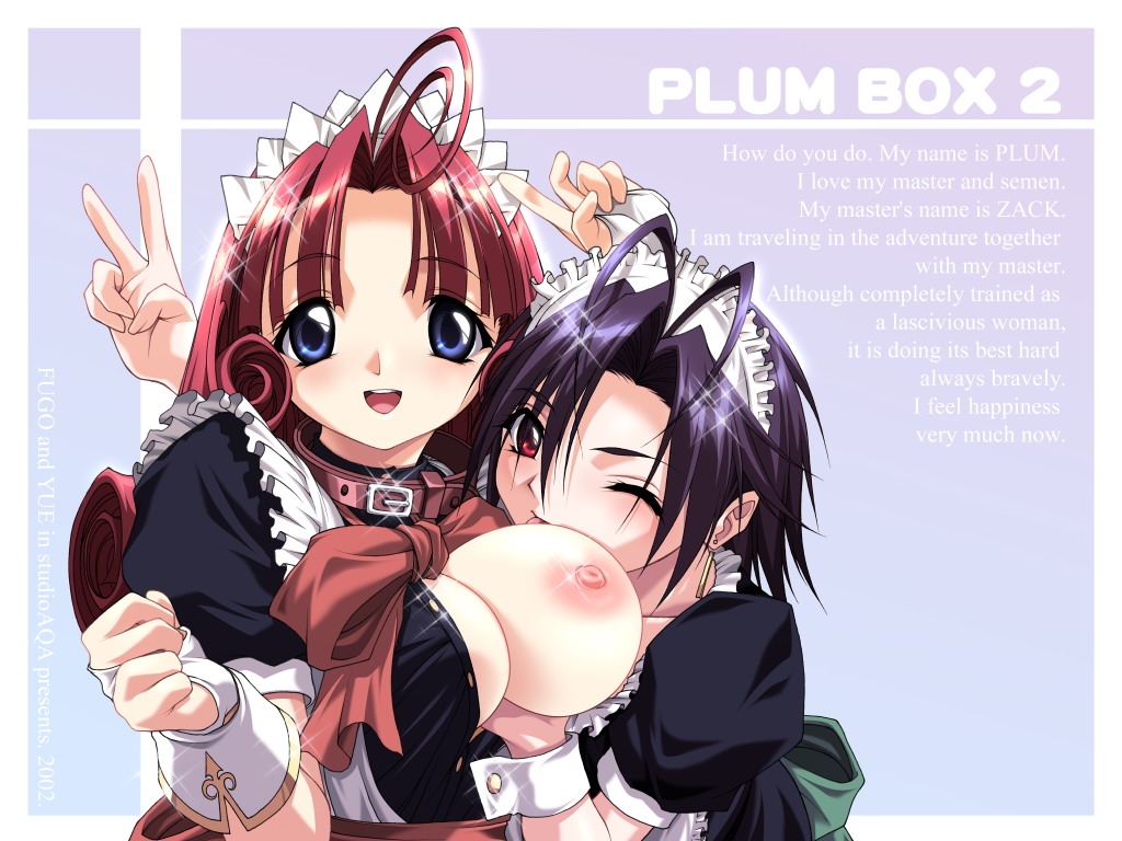 [Studio AQA] Plum Box 2 46