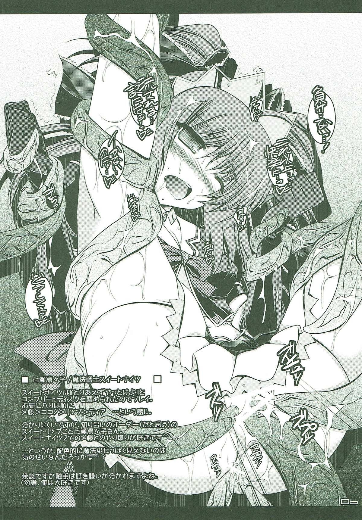 (C78) [ELHEART'S (Ibuki Pon)] EL FRAGMENT 10XA (Mahou Shoujo Lyrical Nanoha) 4