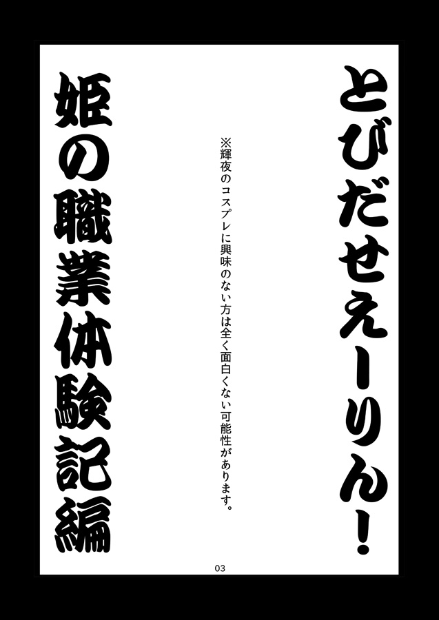 [Burning Soul (Sakayaki)] Hime no Shokugyou Taikenki (Touhou Project) [Digital] 2