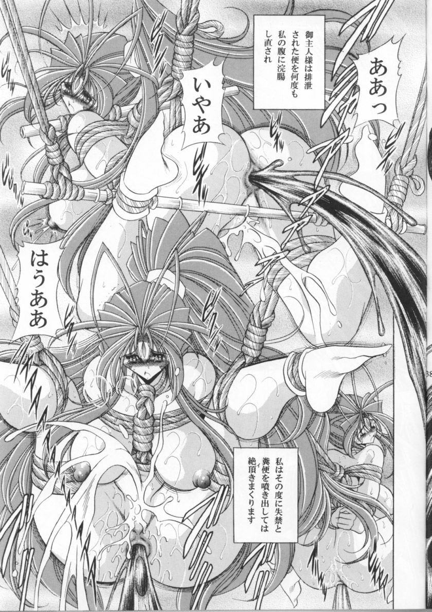 (C70) [Circle Taihei-Tengoku (Horikawa Gorou)] Megami no Ana (Ah! My Goddess) 37