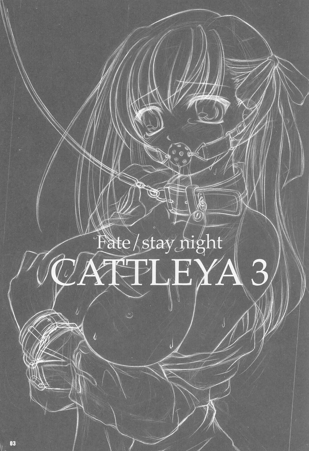 (C67) [Yakan Hikou (Inoue Tommy)] CATTLEYA 3 (Fate/stay night) 1