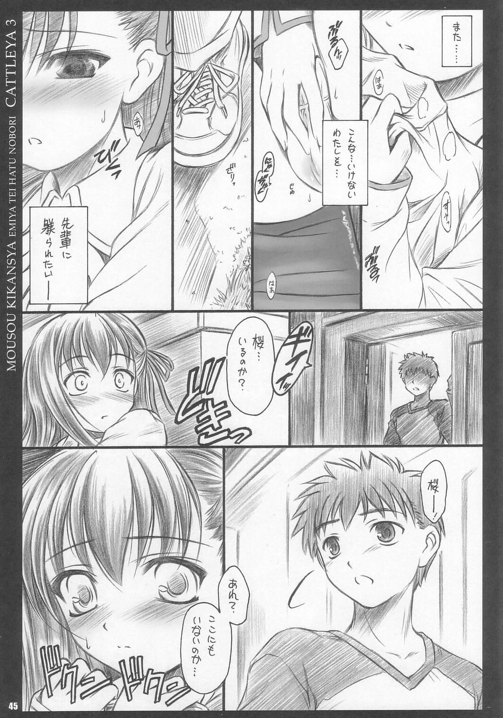 (C67) [Yakan Hikou (Inoue Tommy)] CATTLEYA 3 (Fate/stay night) 43