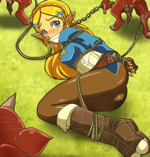 The legend of Zelda favorite bondage 24