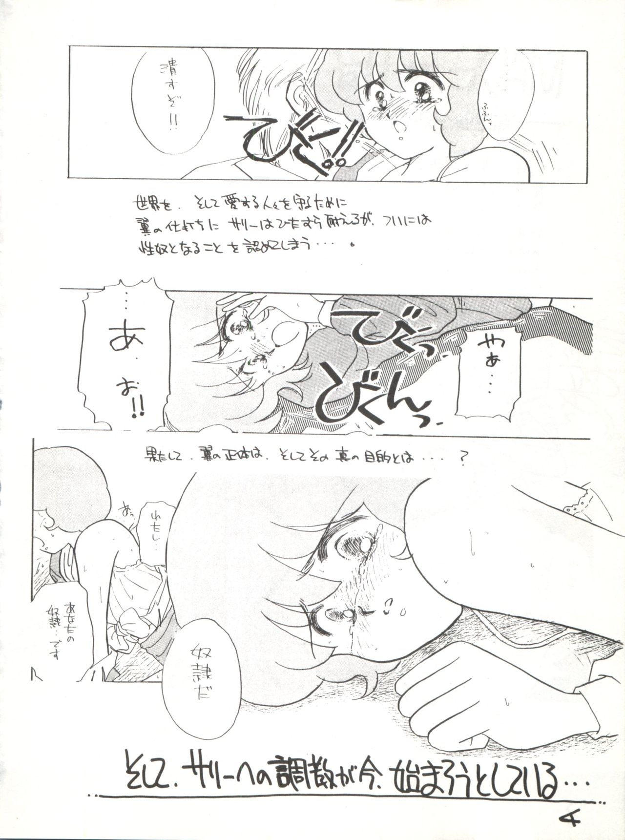 (C42) [Studio Curry House Chandra (Kosuge Yuutarou)] AGGRESSIVE Vol. 2 (Mahou Tsukai Sally) 3