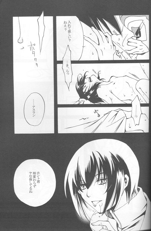 (C69) [Yunabon (Shikabane Christine)] Orokashikute Kawaisouna (Gundam SEED DESTINY) 14