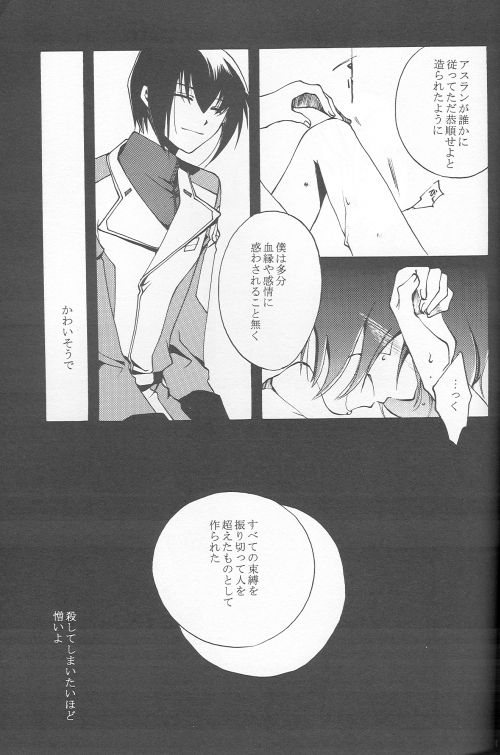 (C69) [Yunabon (Shikabane Christine)] Orokashikute Kawaisouna (Gundam SEED DESTINY) 22