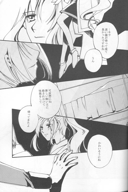 (C69) [Yunabon (Shikabane Christine)] Orokashikute Kawaisouna (Gundam SEED DESTINY) 2