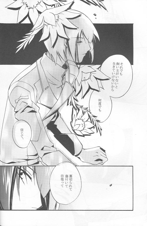 (C69) [Yunabon (Shikabane Christine)] Orokashikute Kawaisouna (Gundam SEED DESTINY) 3