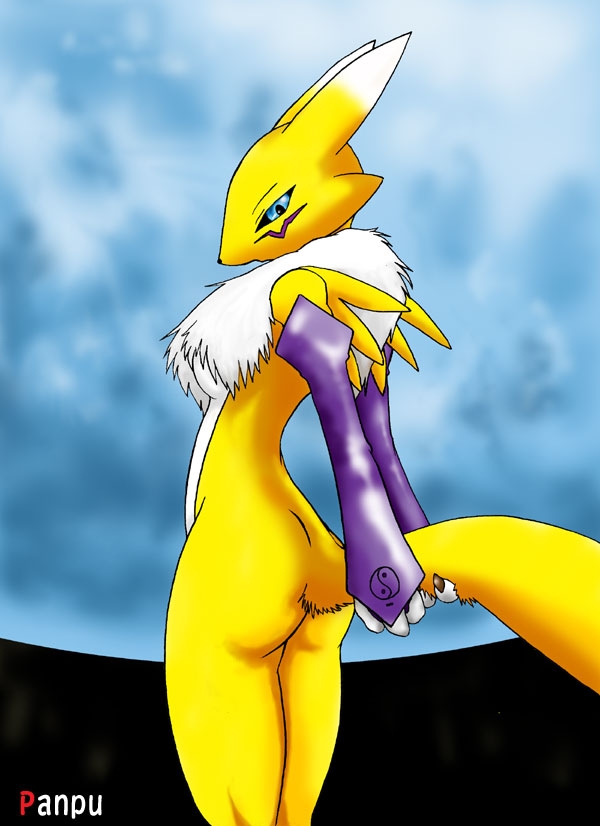 only the best[renamon] 17