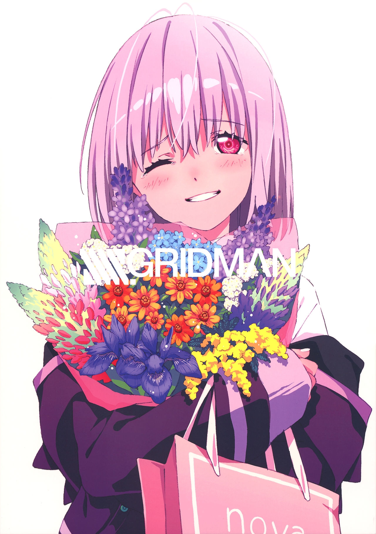 (C95) SSSS.Gridman -Special Signature to Save a Soul- 0