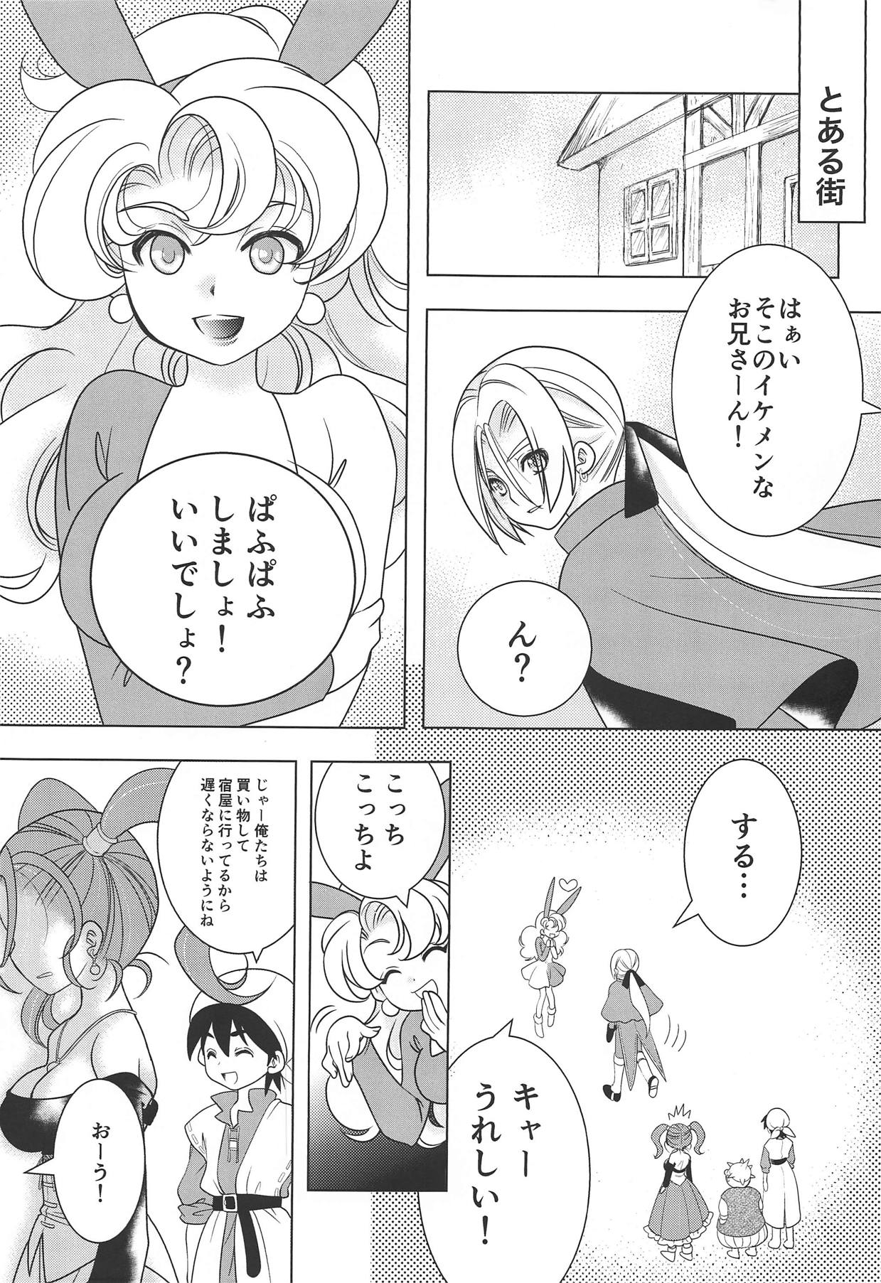 (TWINKLE MIRAGE 8) [Seishun no 11 Page (Umani)] Missing (Dragon Quest VIII) 1