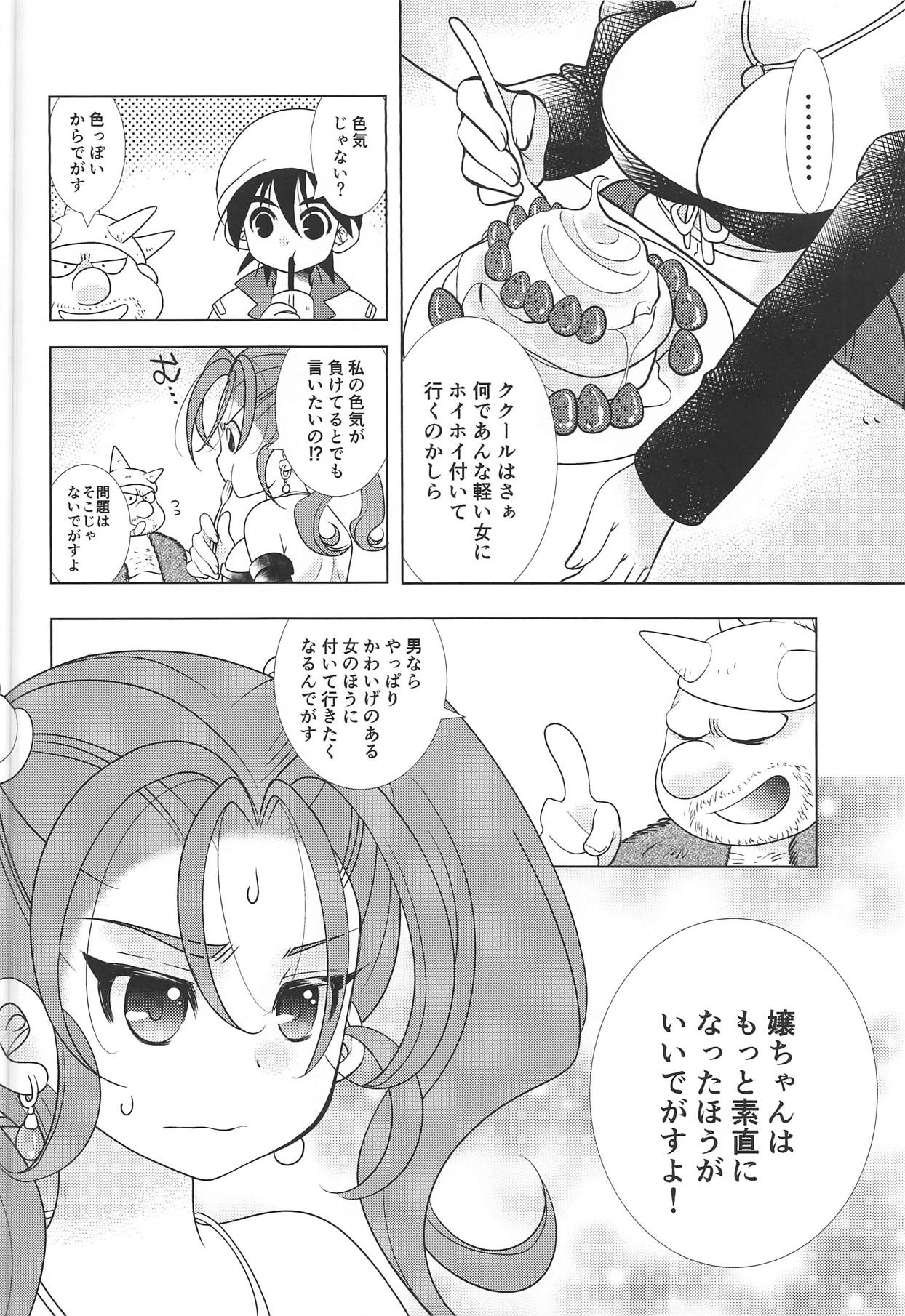 (TWINKLE MIRAGE 8) [Seishun no 11 Page (Umani)] Missing (Dragon Quest VIII) 4