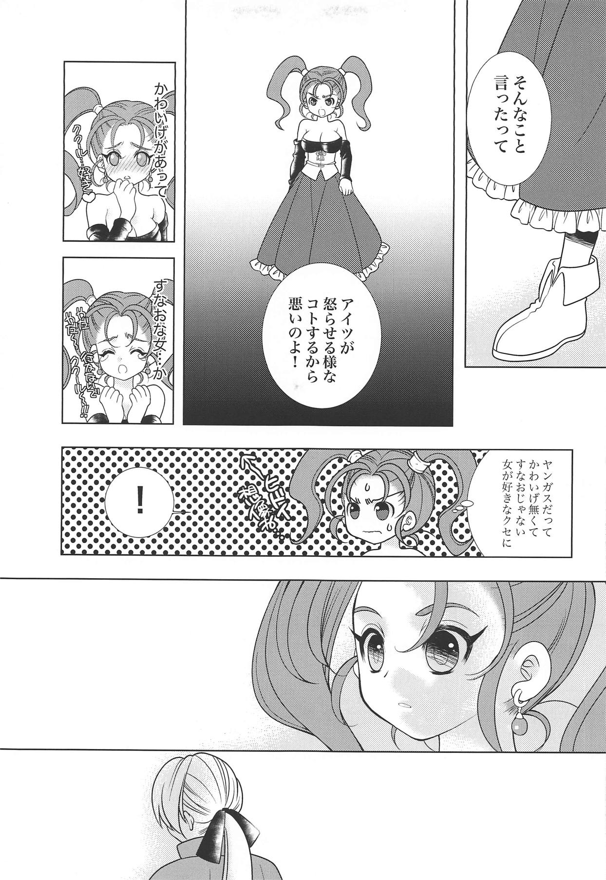 (TWINKLE MIRAGE 8) [Seishun no 11 Page (Umani)] Missing (Dragon Quest VIII) 5