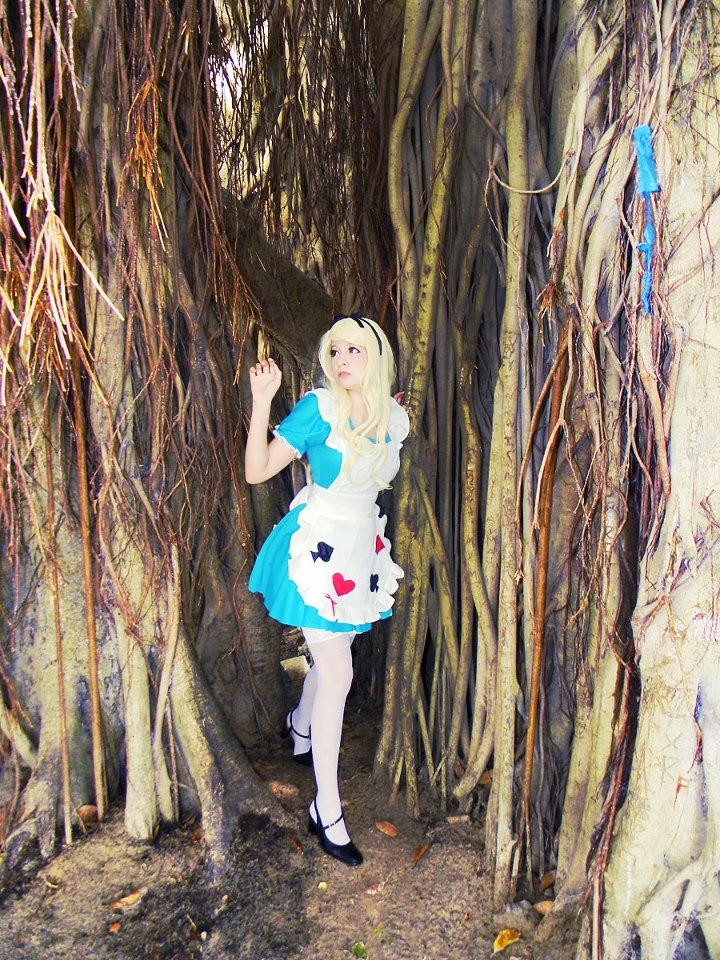 Cosplayer: Pinkie Bunny - Alice (Alice in Wonderland) 1