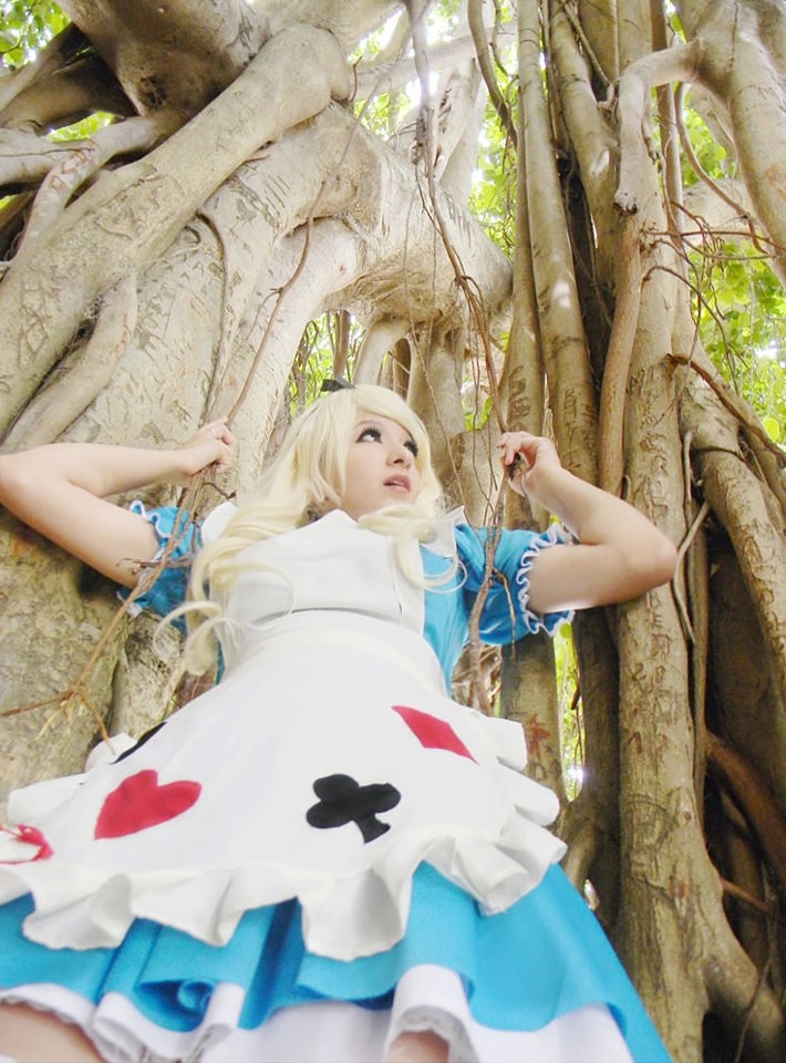 Cosplayer: Pinkie Bunny - Alice (Alice in Wonderland) 3