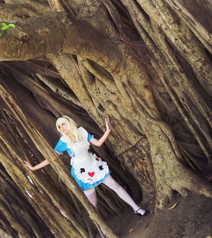 Cosplayer: Pinkie Bunny - Alice (Alice in Wonderland) 5