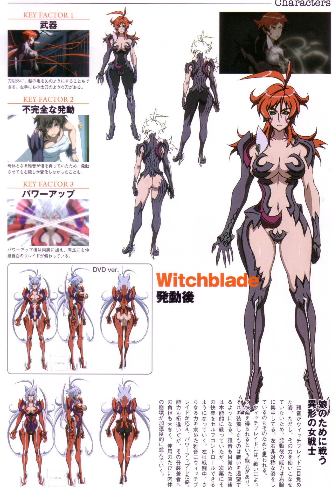 Witchblade Artbook 14