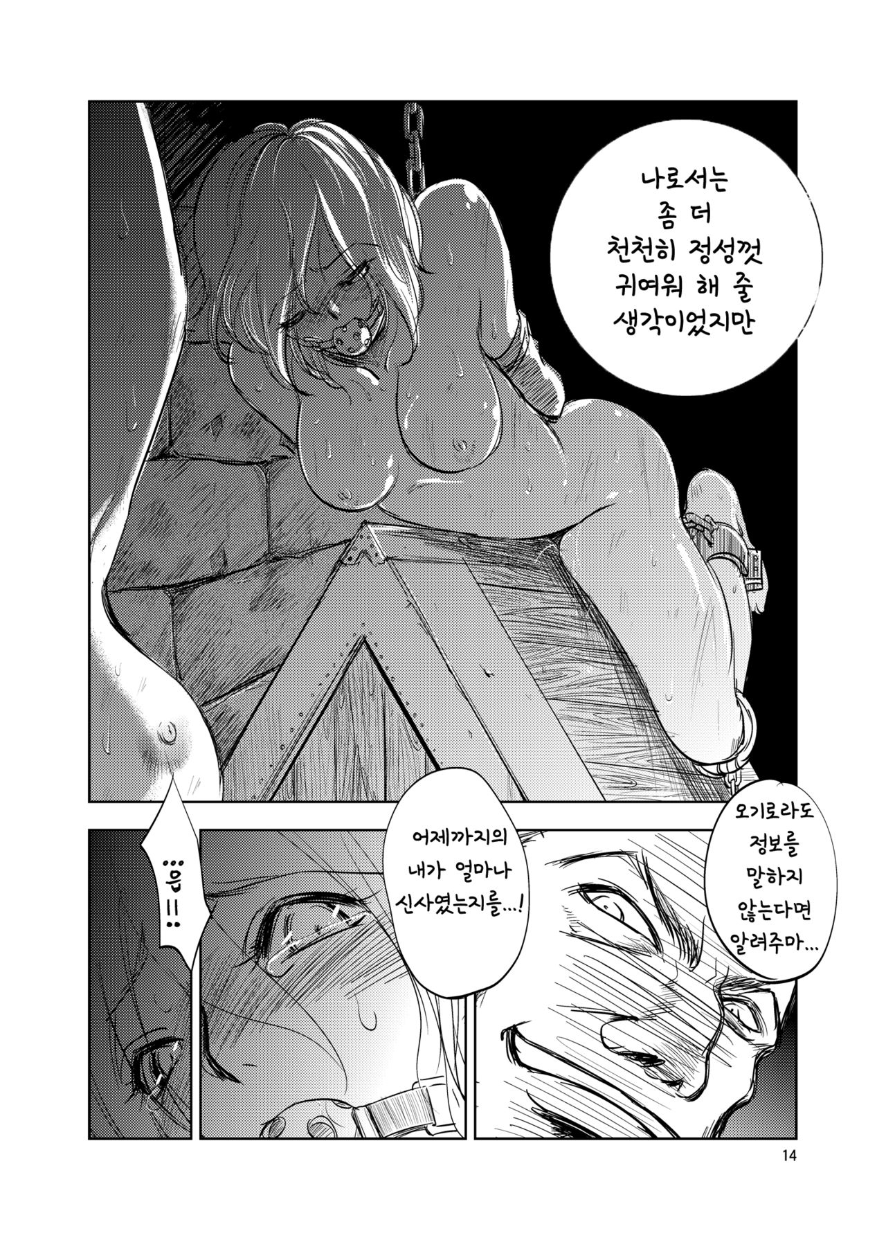 [Ikebukuro DPC (DPC)] GRASSEN'S WAR ANOTHER STORY Ex #01 Node Shinkou I | GRASSEN'S WAR ANOTHER STORY Ex #01 노드 침공 I [Korean] [도레솔] [Digital] 14