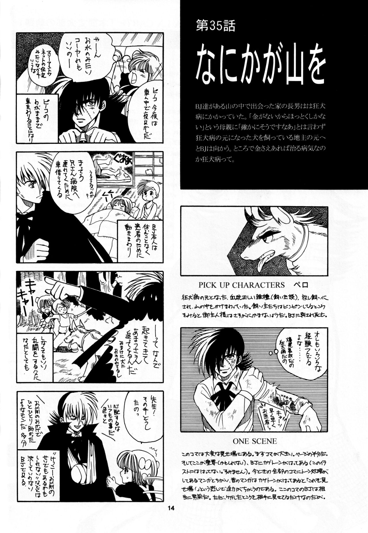 (C62) [Shuukan SPAPA (Tadano Masayuki)]Kokou mo jiai mo iku saigetsu 7 (Black Jack) 12