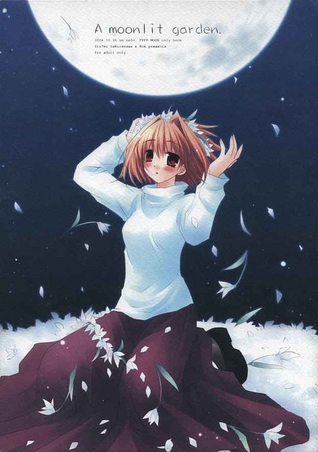 [CHRONOLOG, R-Works] A moonlit garden (Tsukihime,Fate/Stay Night) 0