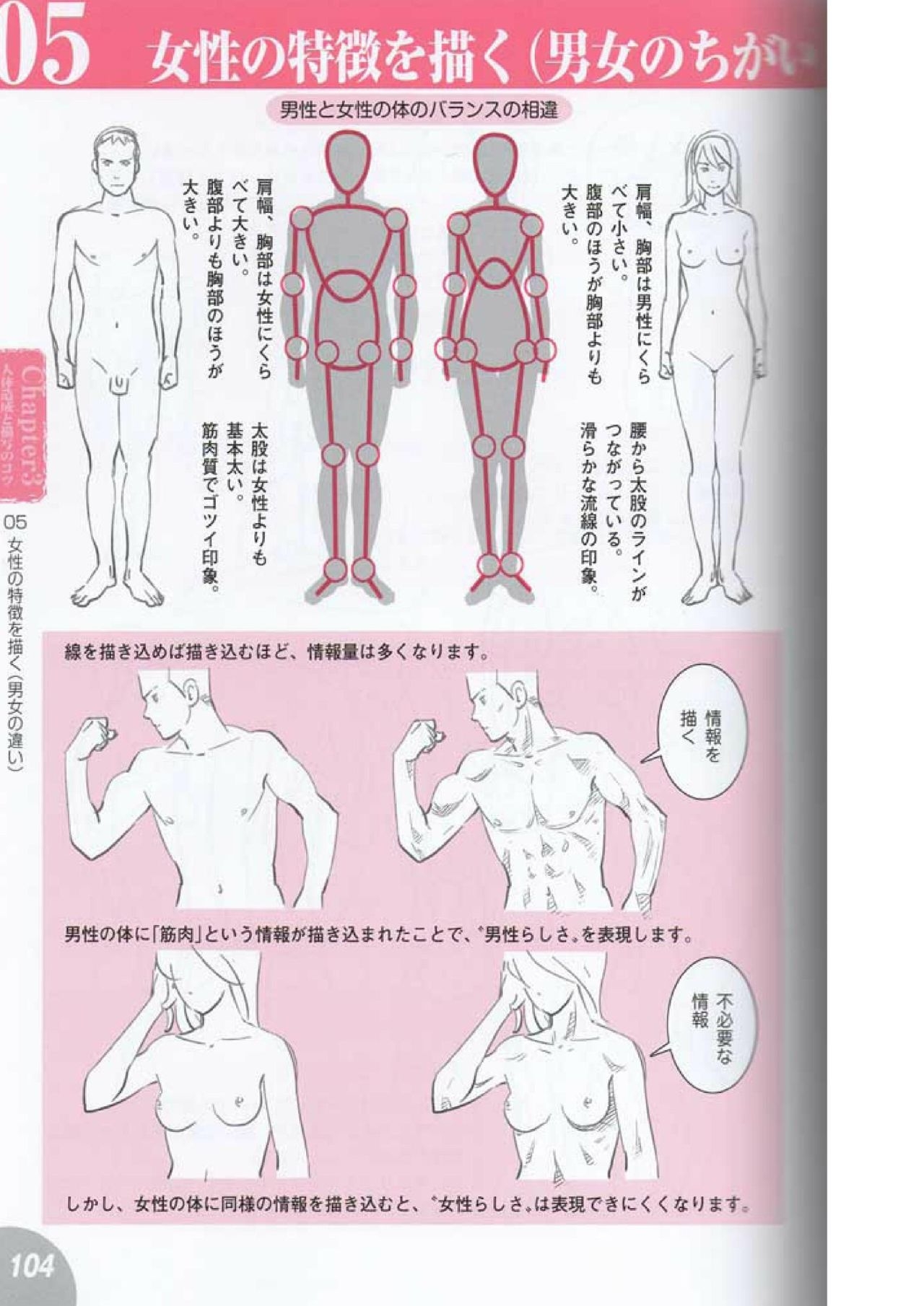 How to draw a character drawing from a human anatomical chart 102