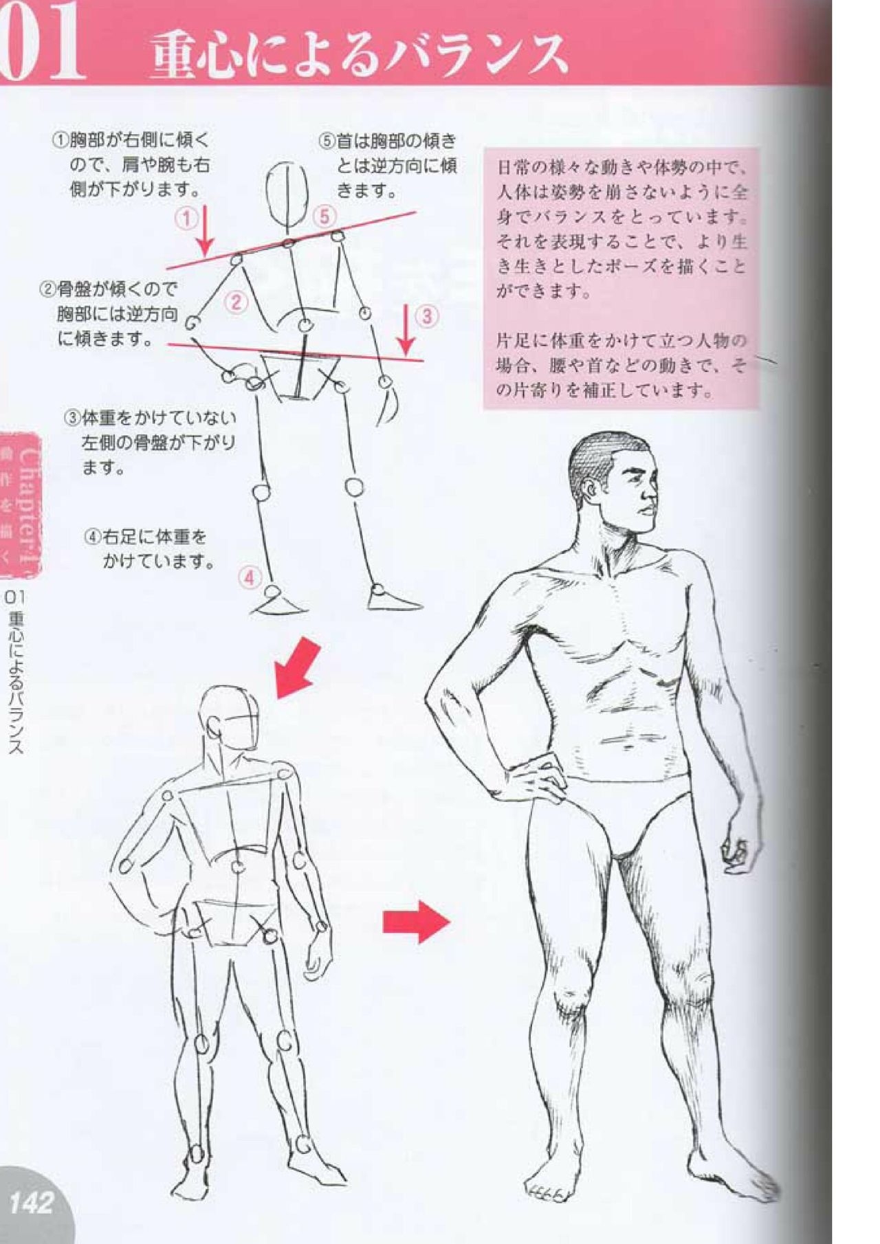 How to draw a character drawing from a human anatomical chart 140