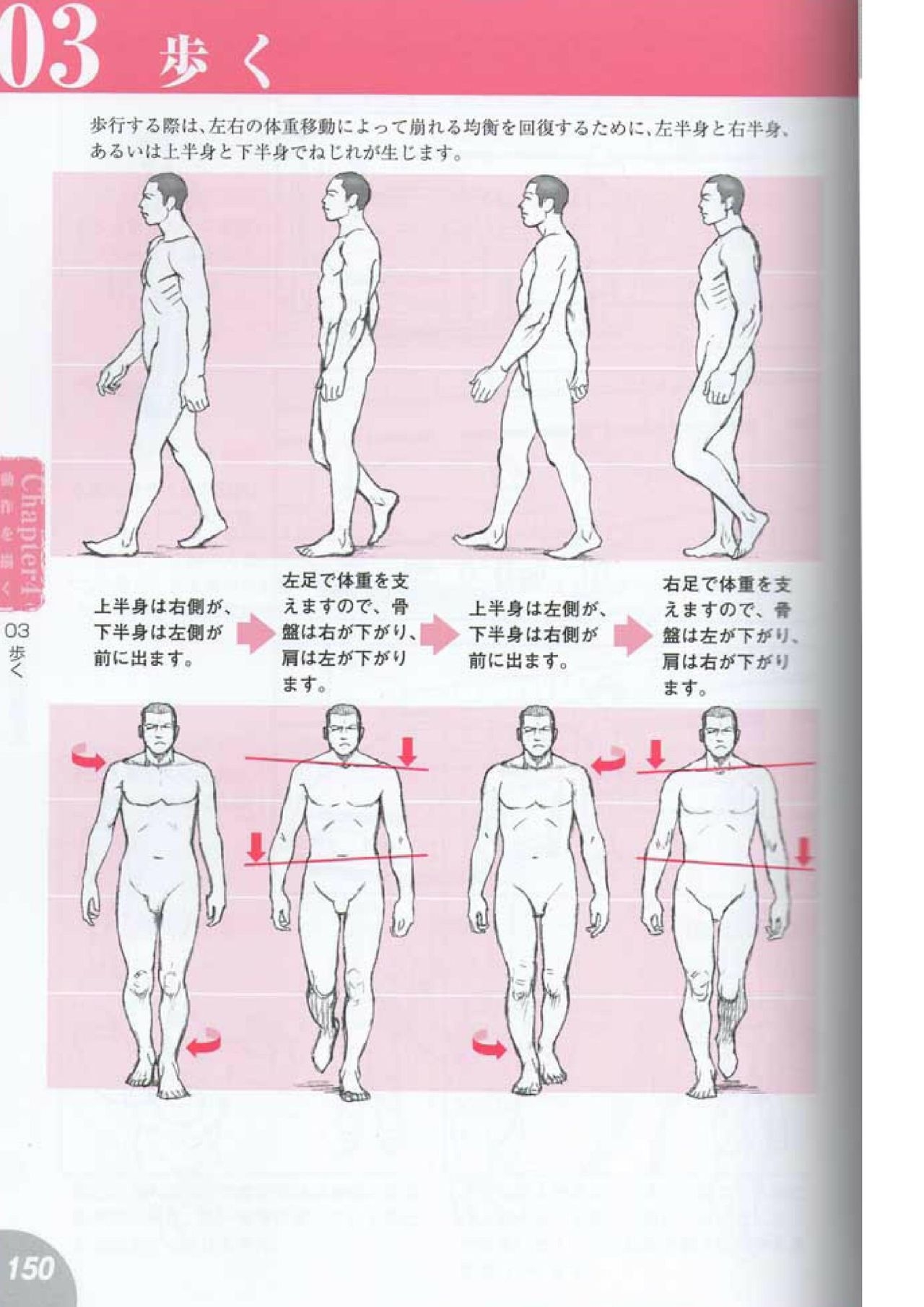 How to draw a character drawing from a human anatomical chart 148
