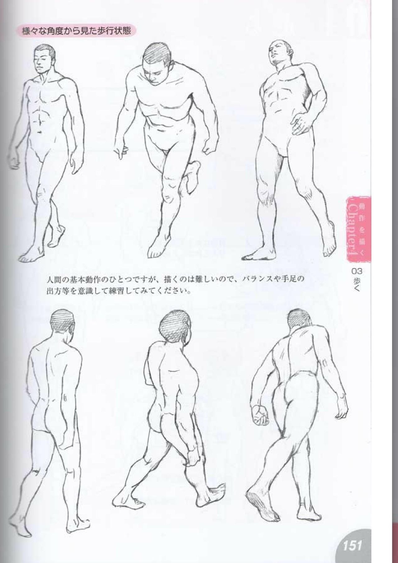 How to draw a character drawing from a human anatomical chart 149