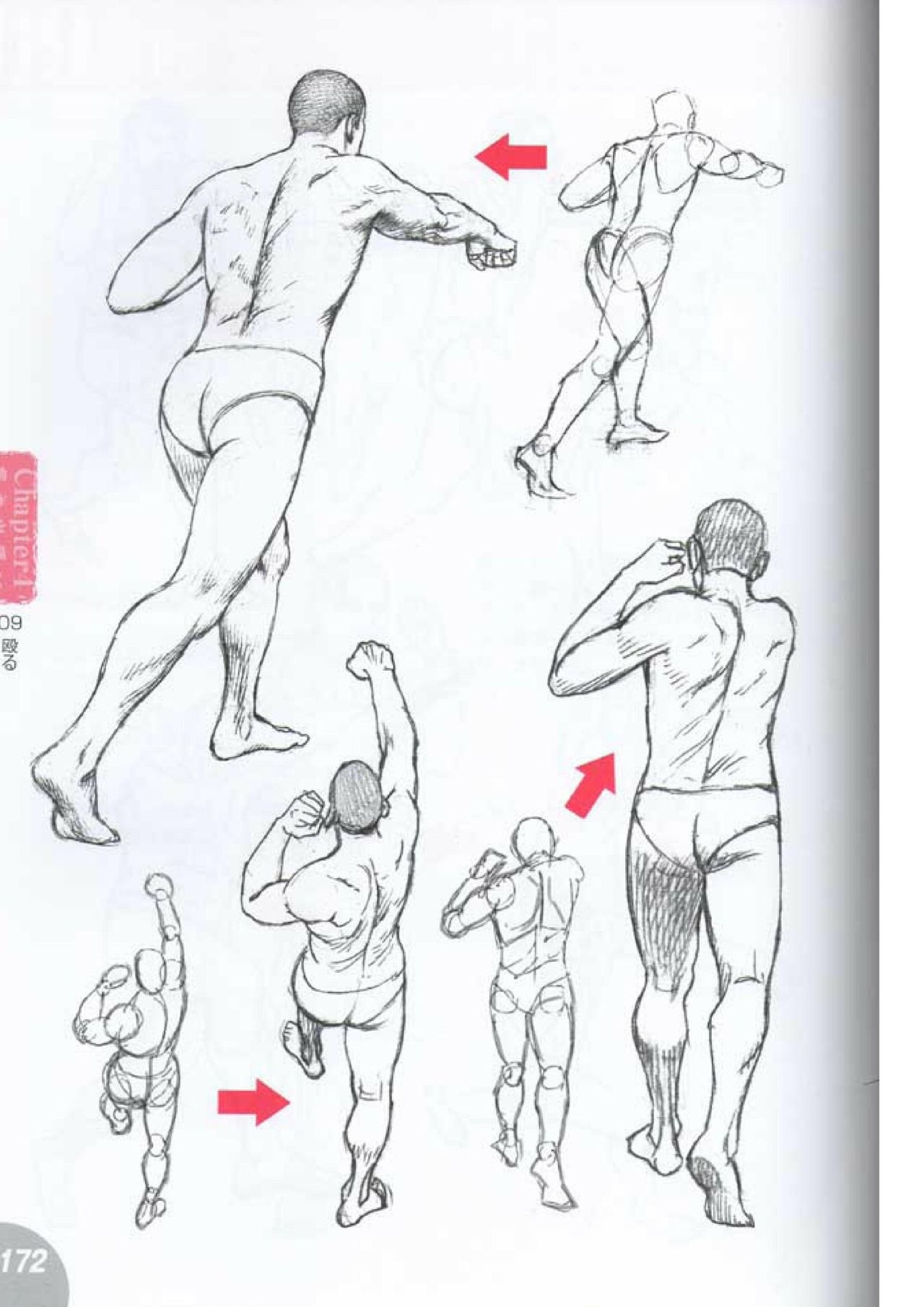 How to draw a character drawing from a human anatomical chart 170