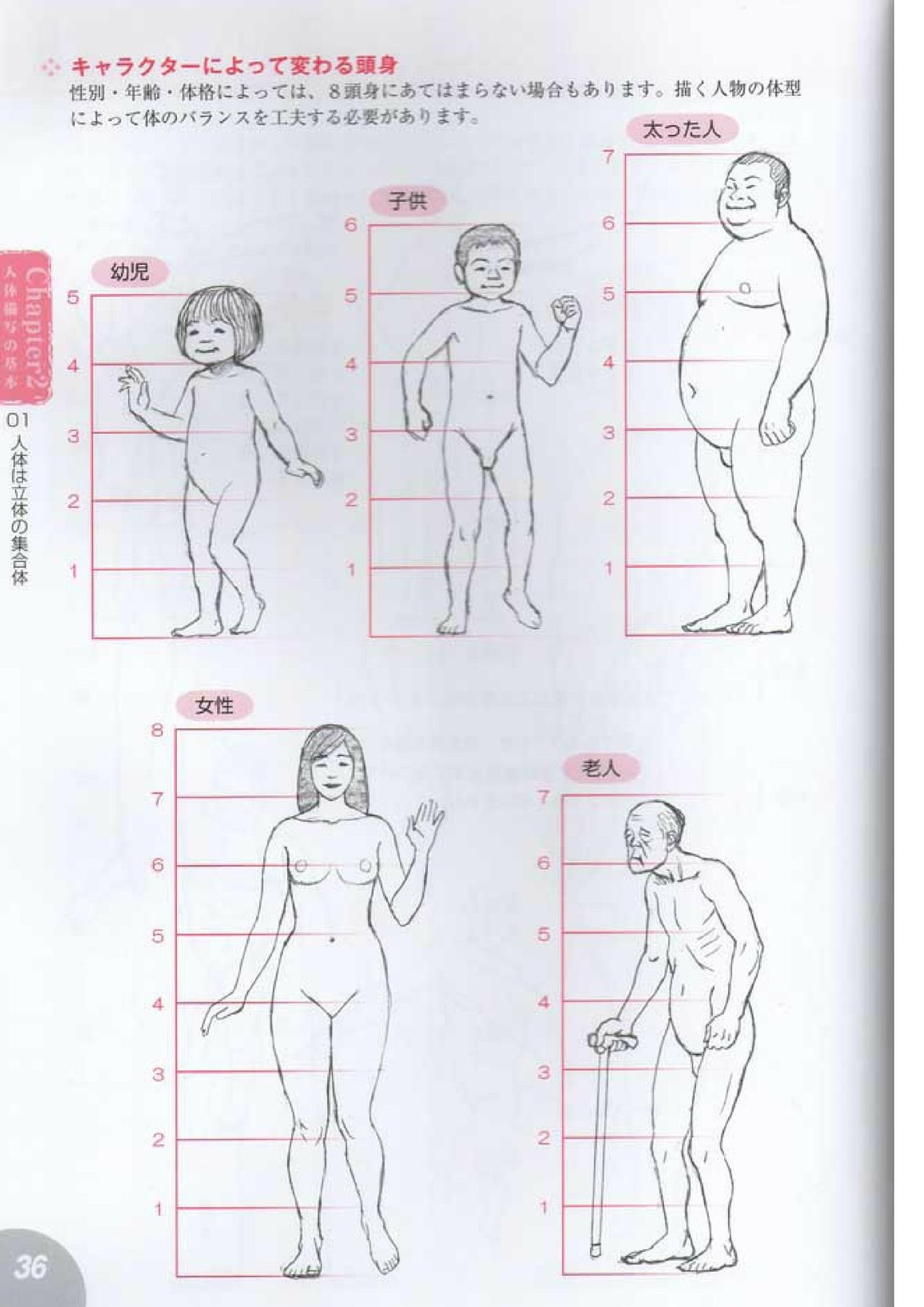 How to draw a character drawing from a human anatomical chart 34
