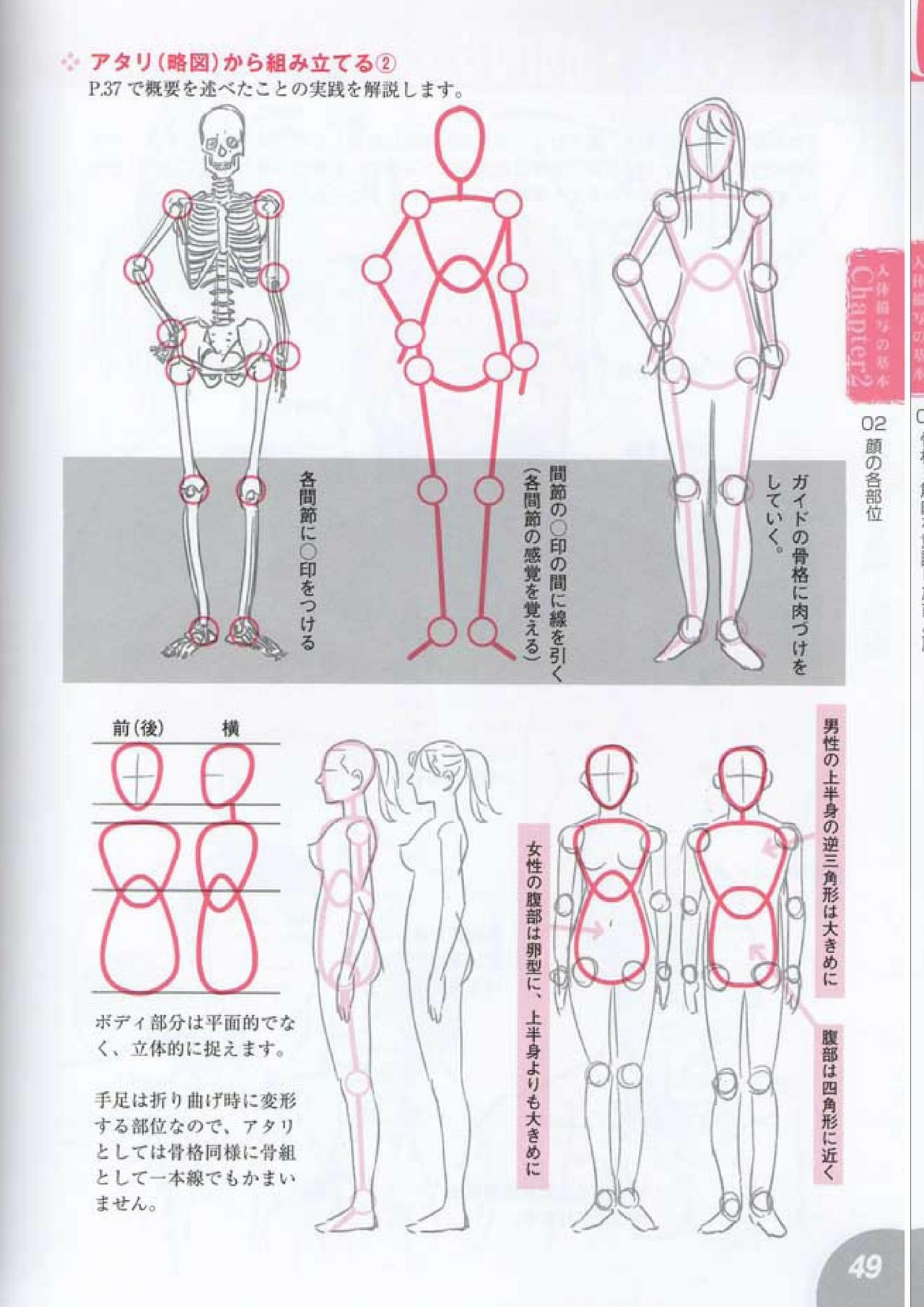 How to draw a character drawing from a human anatomical chart 47