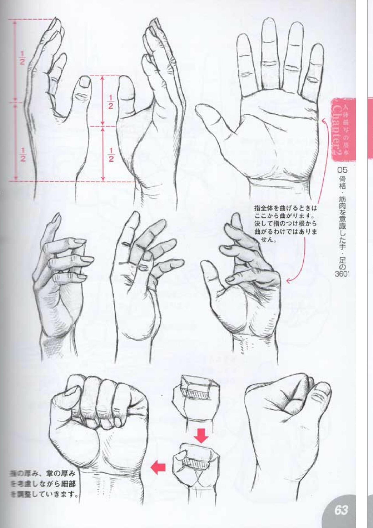 How to draw a character drawing from a human anatomical chart 61