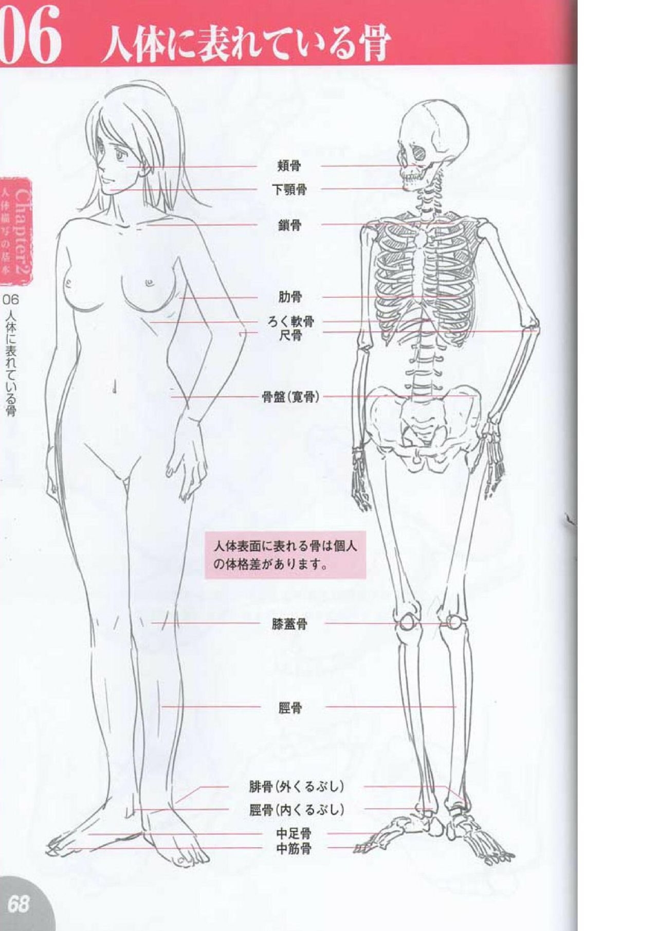 How to draw a character drawing from a human anatomical chart 66