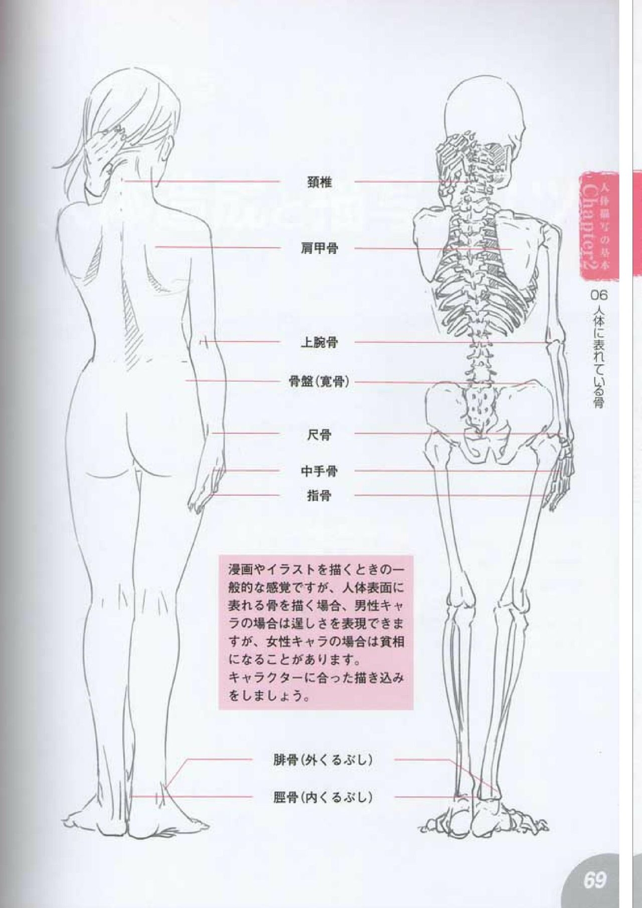 How to draw a character drawing from a human anatomical chart 67