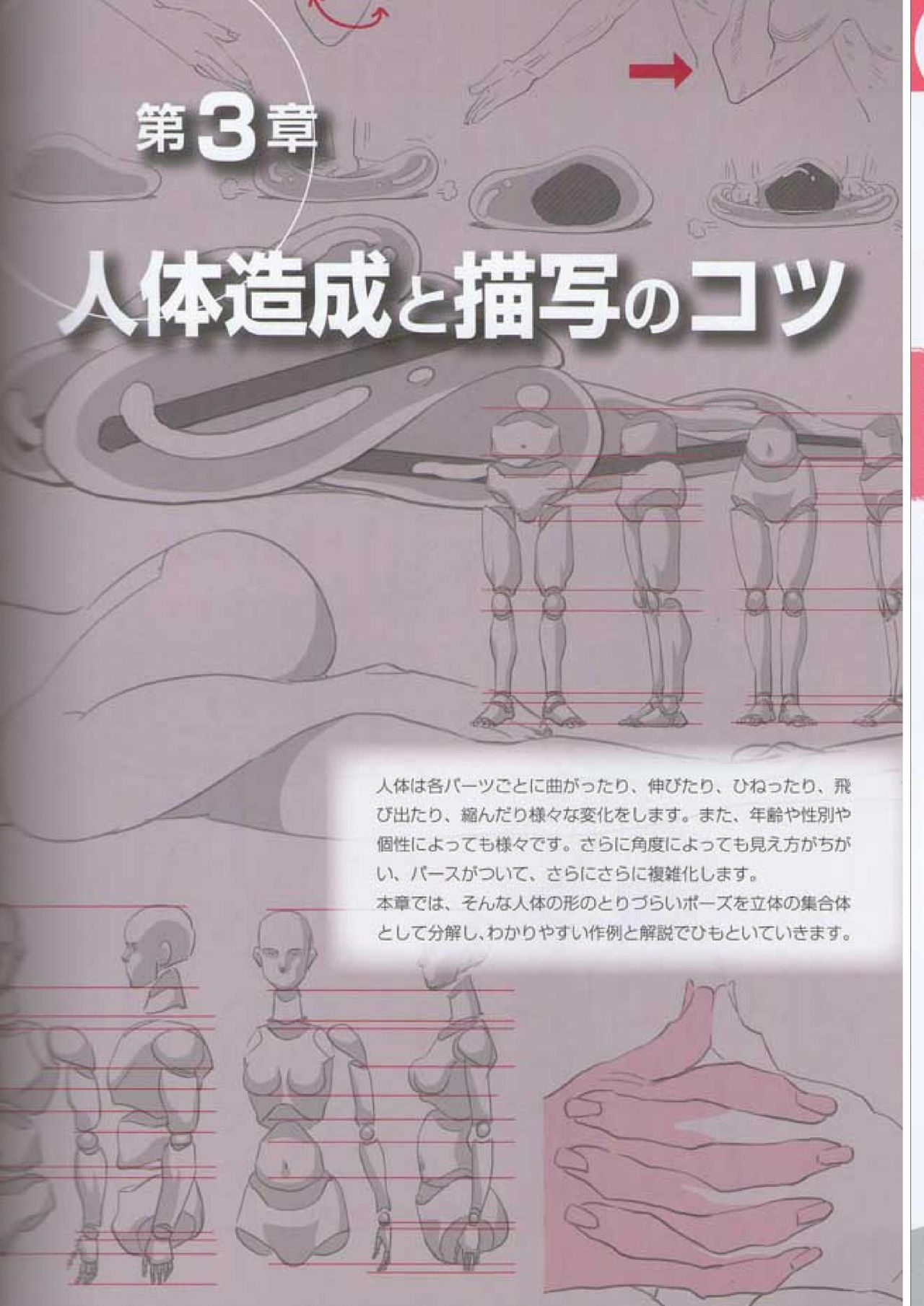 How to draw a character drawing from a human anatomical chart 69