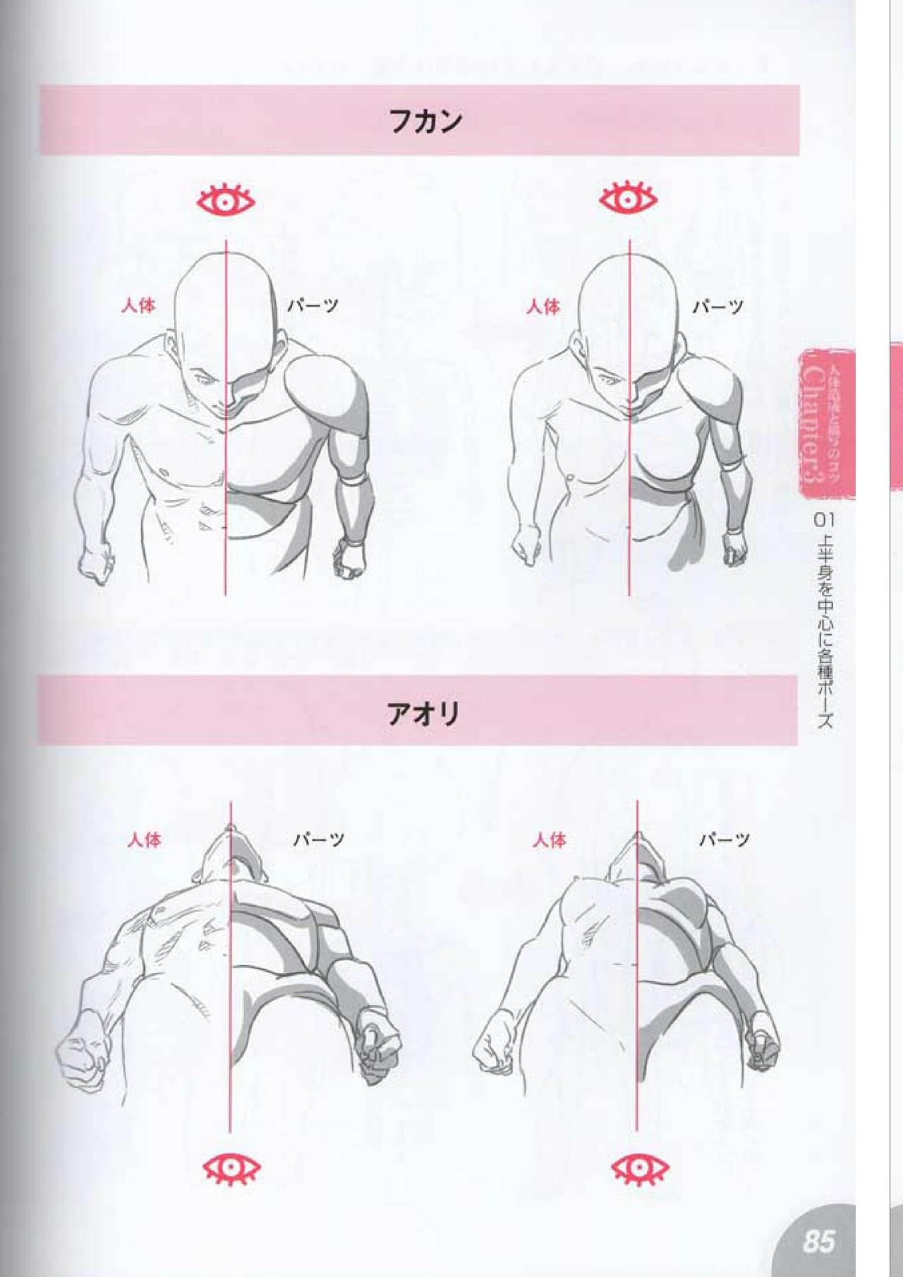 How to draw a character drawing from a human anatomical chart 83